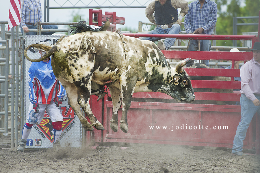 My 15-year-old does this. I just photograph it. : pics